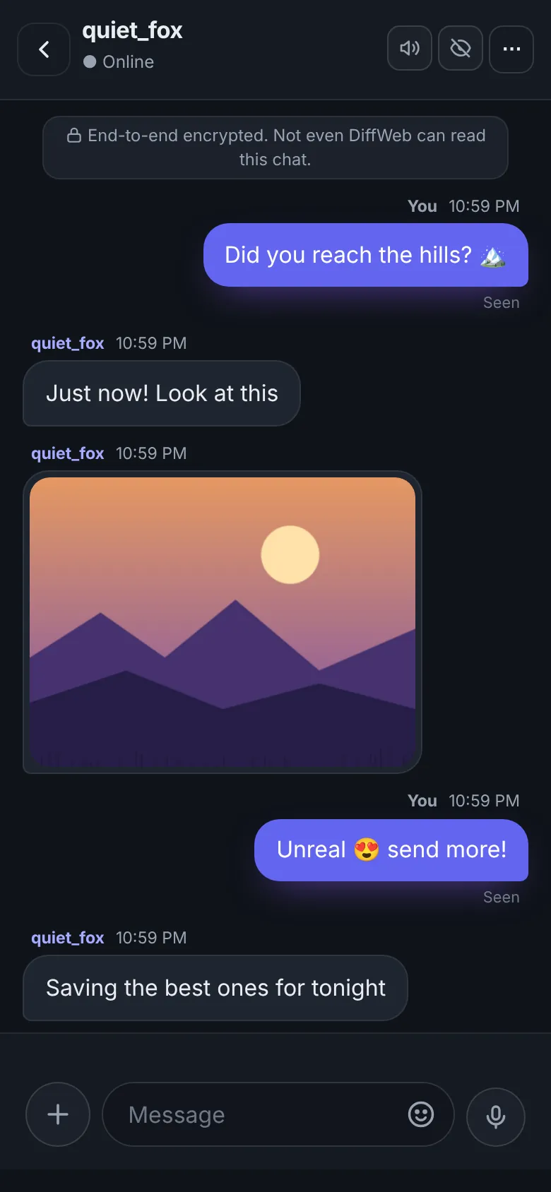 A saved DiffWeb chat between two usernames, with a photo